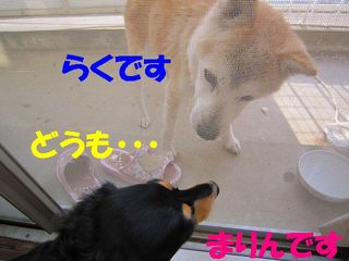 ごあいさつ.jpg
