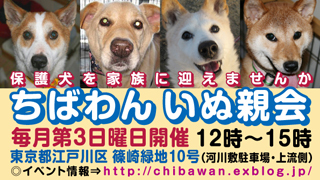ちばわん定例いぬ親会.jpg