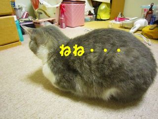 ねね。。。.jpg