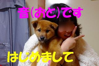 はじめまして 音です.jpg