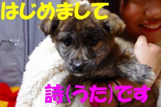 はじめまして 詩です.jpg