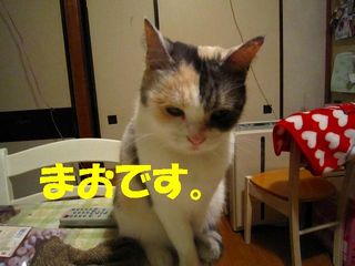 まお.jpg