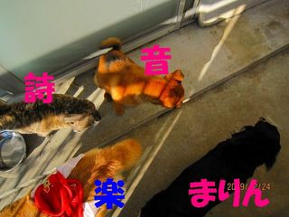 ミクシー用 222.jpg