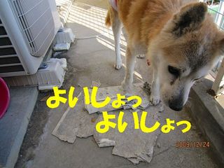 ミクシー用 225.jpg
