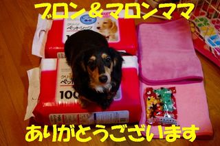 ミクシー用 279.jpg
