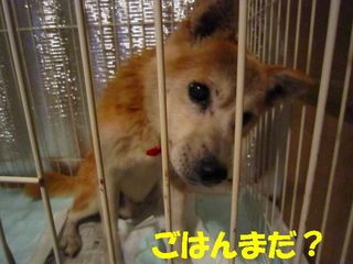 ミクシー用 538.jpg