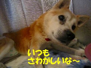 ミクシー用 548.jpg