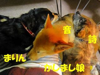ミクシー用 551.jpg