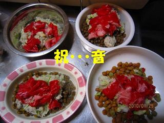ミクシー用 570.jpg