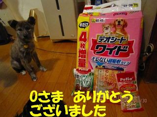 ミクシー用 579.jpg