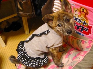 ミクシー用 637.jpg
