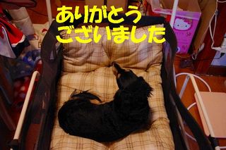 ミクシー用 652.jpg
