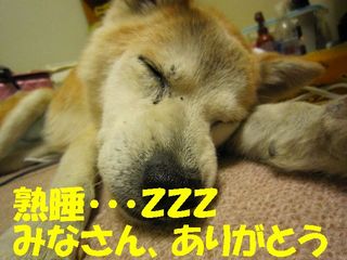 ミクシー用 660.jpg