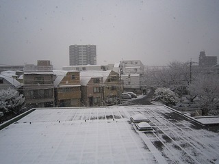 ミクシー用 698.jpg