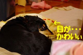ミクシー用 743.jpg