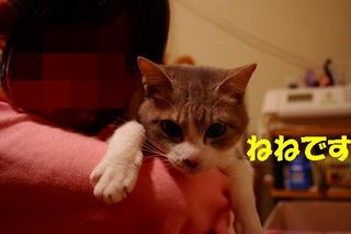 ミクシー用 759.jpg