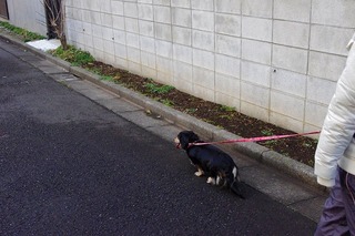 ミクシー用 763.jpg