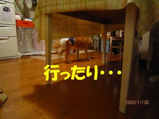 楽行ったり・・・.jpg