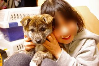 詩とあき.jpg