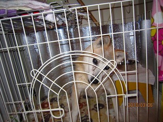 日常 027.jpg