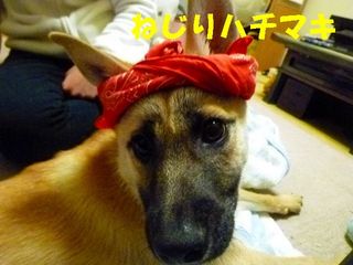 日常 1013.jpg