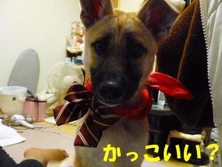 日常 1016.jpg