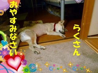 日常 1023.jpg