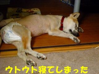 日常 1024.jpg