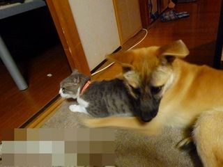 日常 1028.jpg