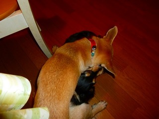 日常 1031.jpg