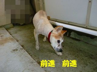 日常 1035.jpg
