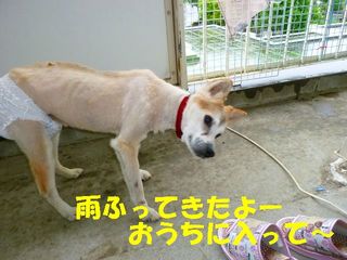 日常 1036.jpg
