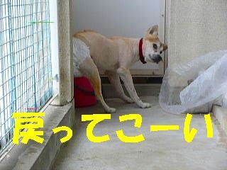 日常 1041.jpg