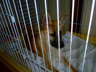 日常 1047.jpg