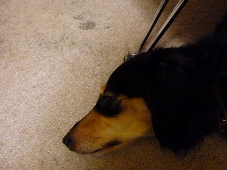 日常 1055.jpg