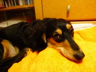 日常 1058.jpg