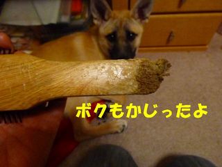 日常 1067.jpg