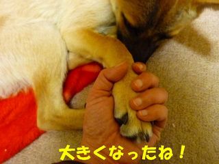 日常 1068.jpg
