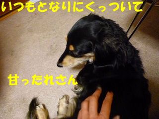 日常 1069.jpg