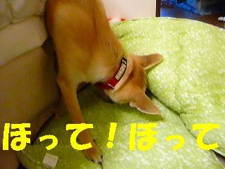 日常 1070.jpg