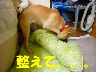 日常 1071.jpg