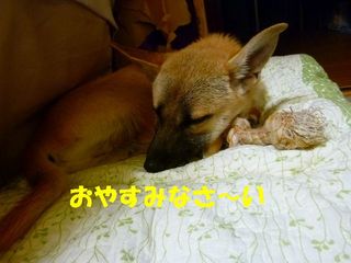 日常 1072.jpg