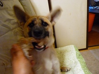 日常 1081.jpg