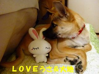 日常 1090.jpg
