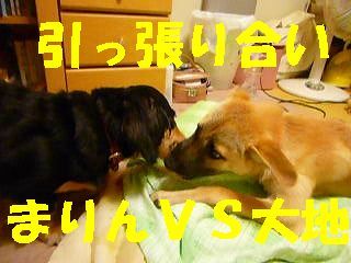 日常 1091.jpg