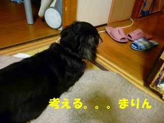 日常 1094.jpg