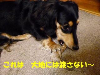 日常 1095.jpg