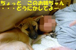 日常 1100.jpg