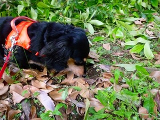 日常 1109.jpg