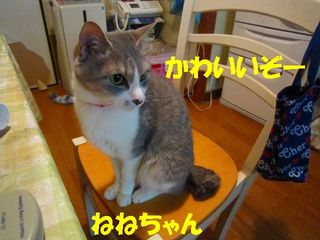 日常 1177.jpg